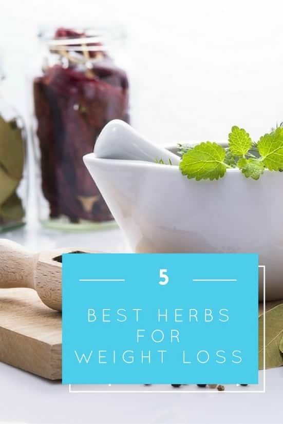 5 Best Herbs for Weight Loss