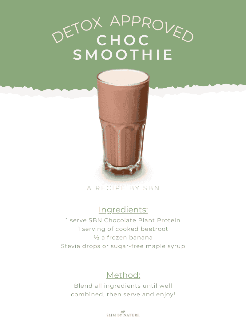 PlantWell Protein Powder - Chocolate - My Store