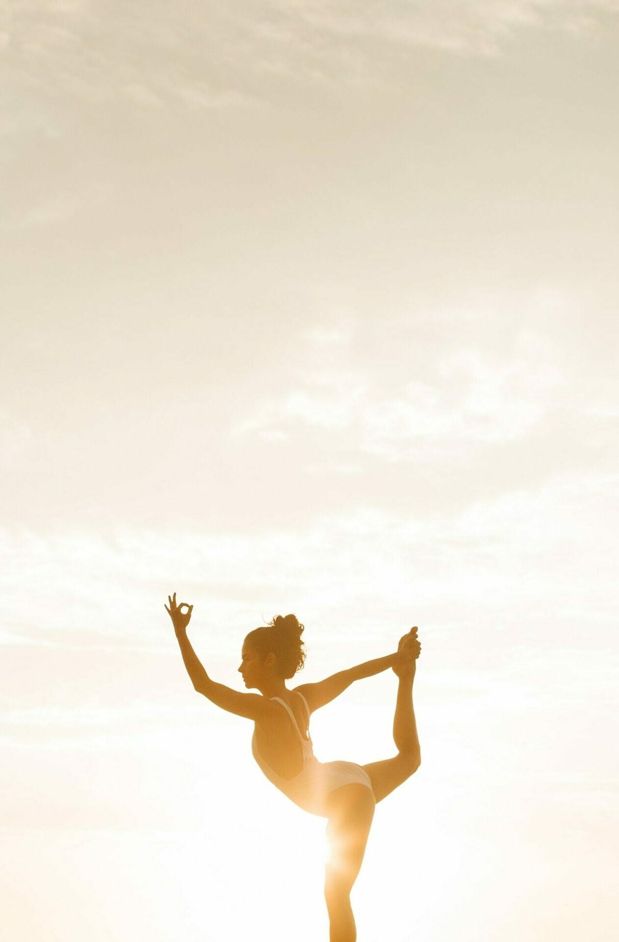 Post-Detox Blueprint - My Store