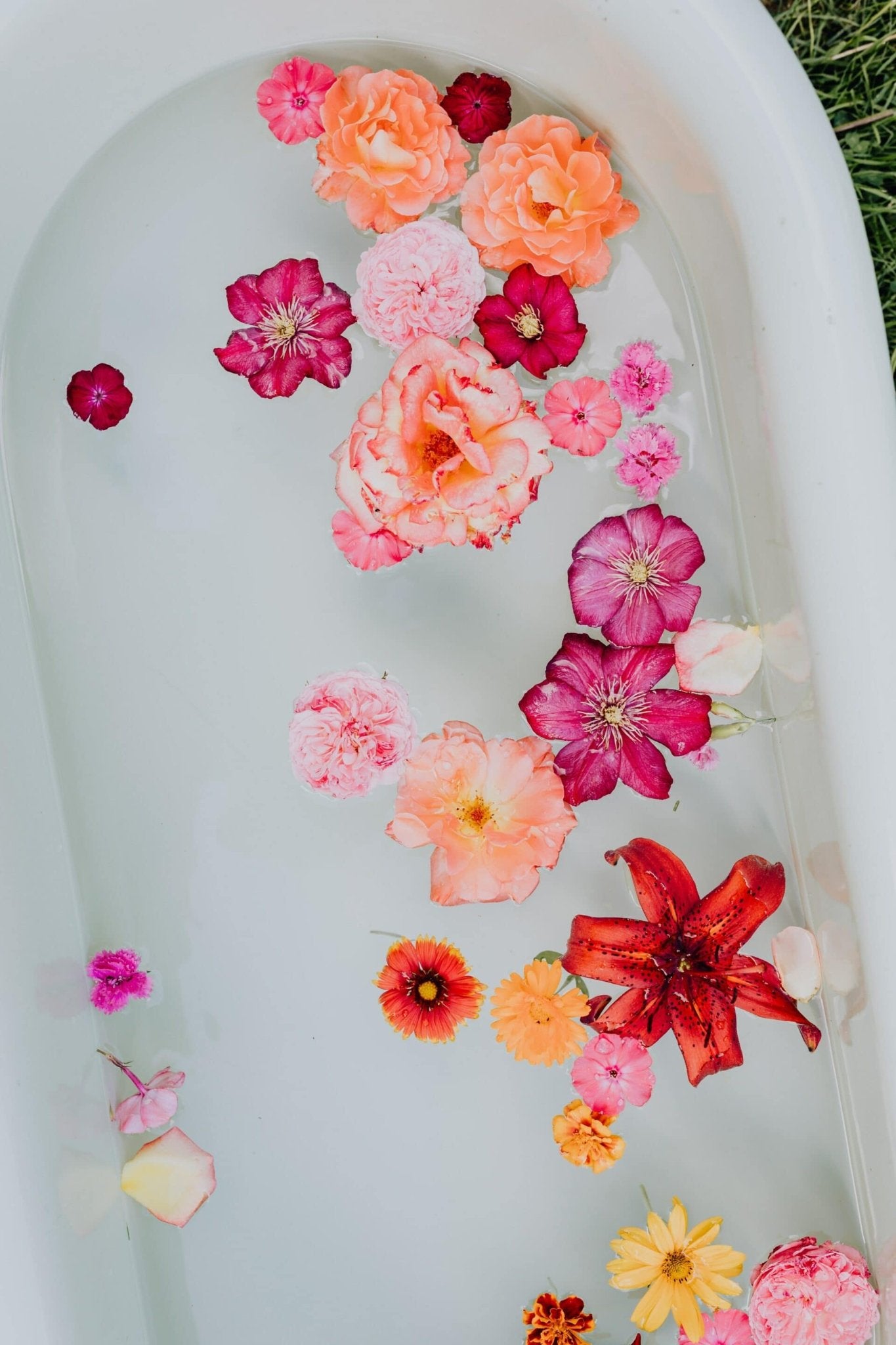 Post-Detox Blueprint - My Store