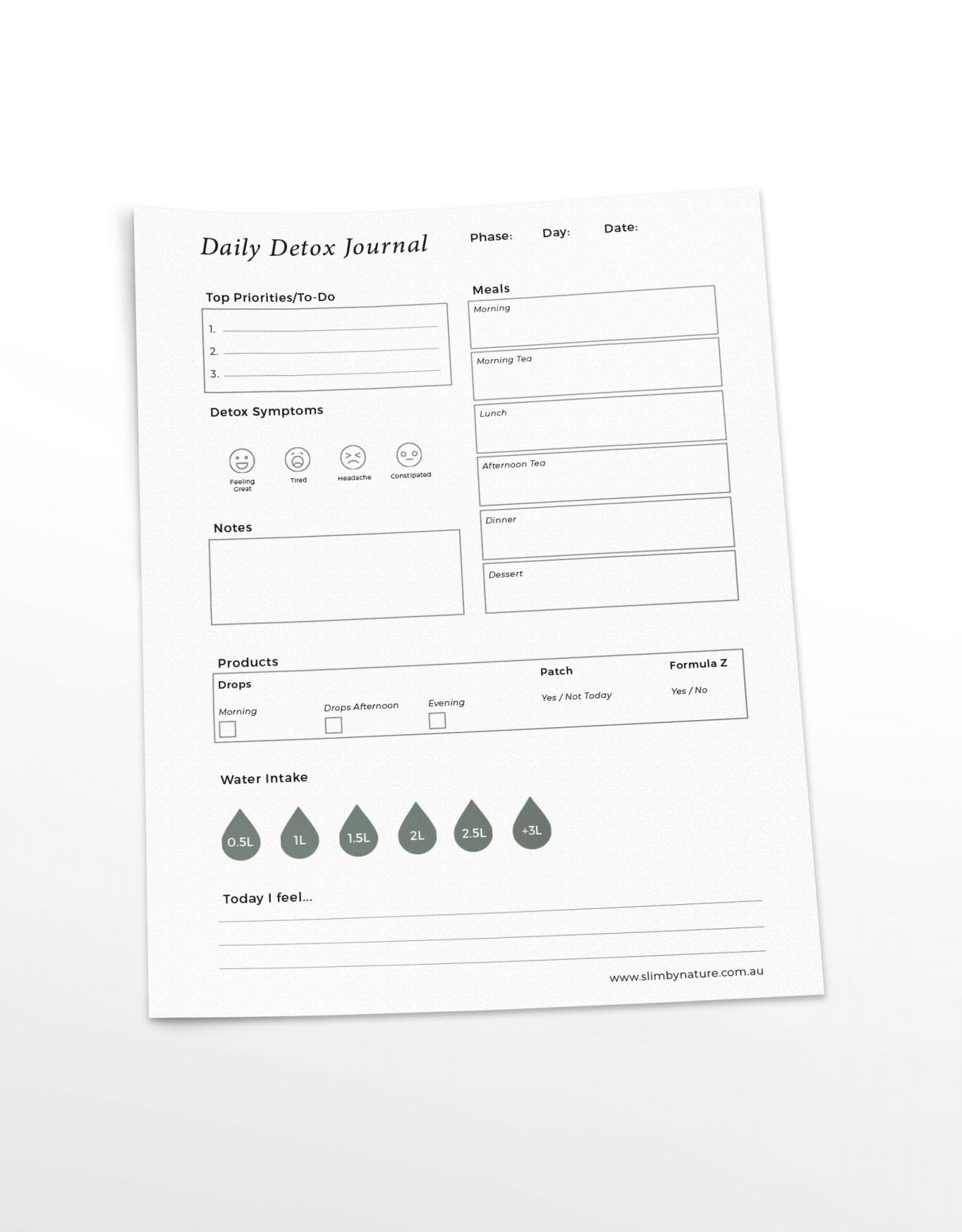 Daily Detox Journal Printable - My Store