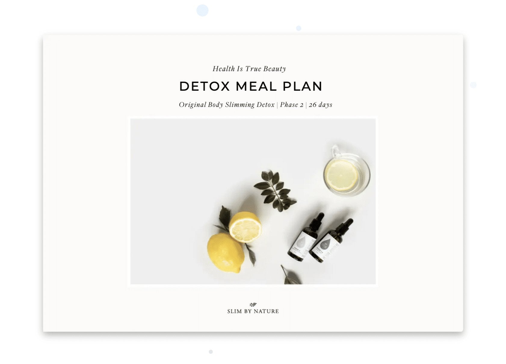SBN Detox Meal Plan - My Store